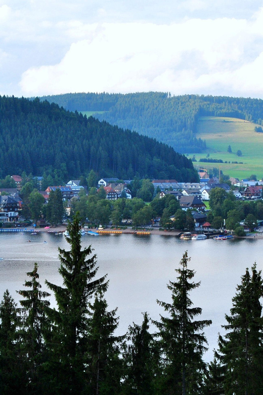 Full-Day Tour From Zurich to Lake Titisee Black Forest - Tour Overview