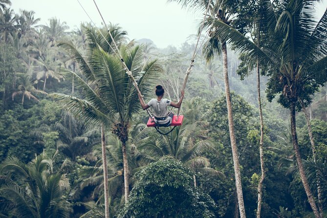 Full Day Tour to Best of Ubud With Jungle Swing - Included Services