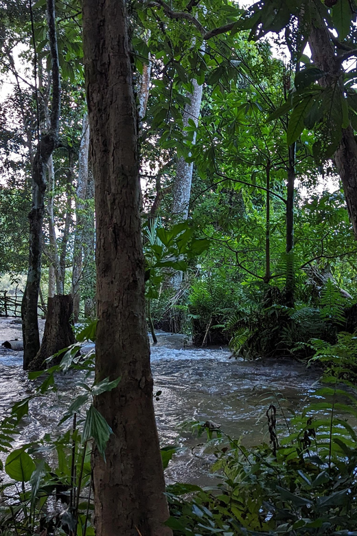 Full Day Trek to Kuang Si Waterfalls, Remote Village - Key Points