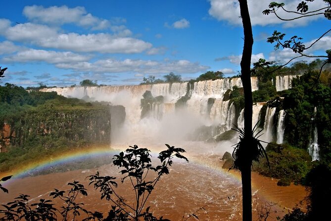 Full Tour to Brazilian Falls + Bird Park ! - Tour Overview