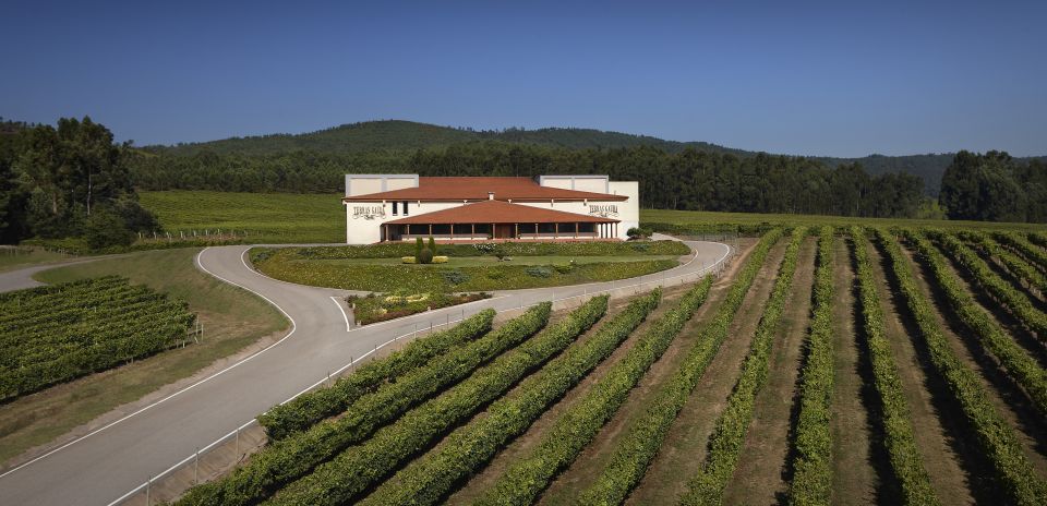 Galicia: Group Winery Tour and Tasting - Key Points