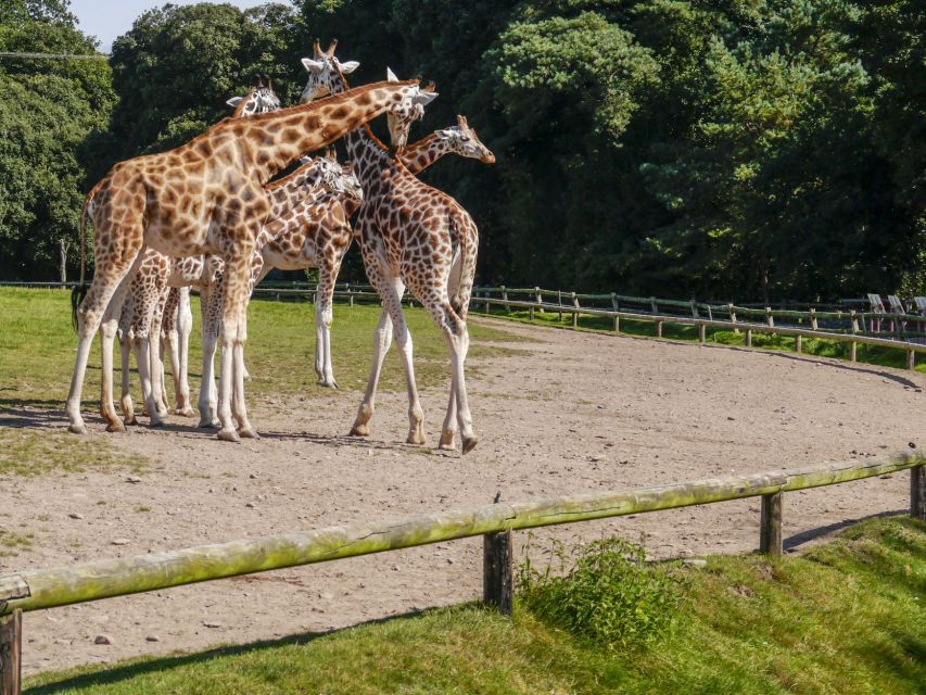 Gdansk: Oliwa Zoo With Tickets and Roundtrip Transportation - Good To Know