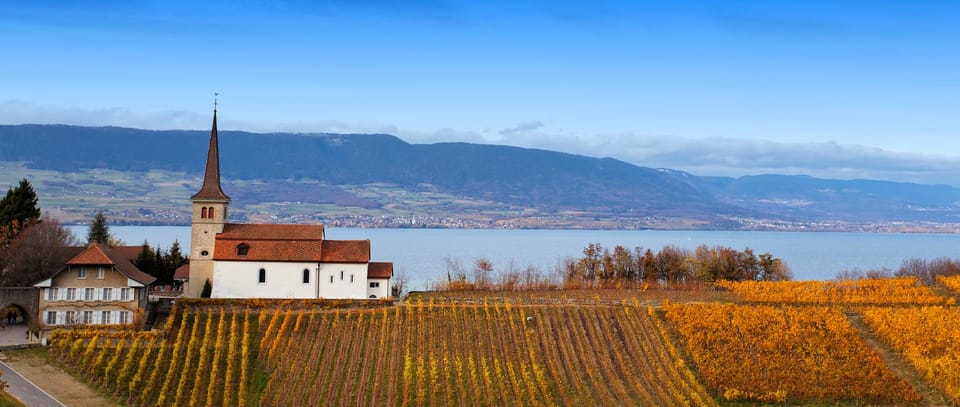 Geneva: Guided Wine Tour - Good To Know