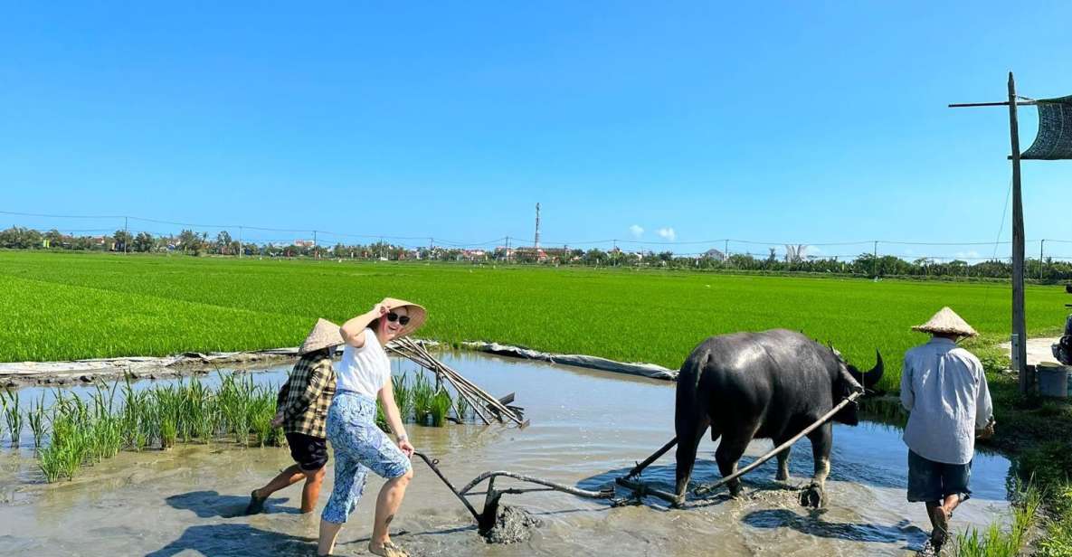 Get Close to Farmers - Key Points