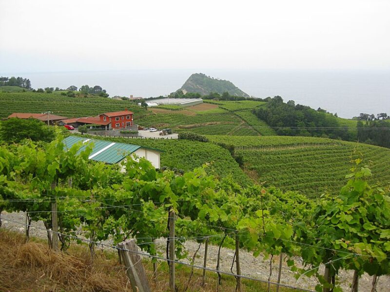 Getaria Txakoli Wine Tour From San Sebastian - Key Points