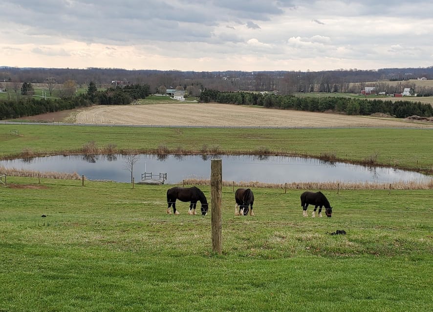 Gettysburg: Horse-Drawn Carriage Tour Countryside & Orchards - Key Points