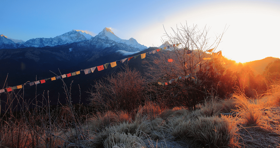 Ghorepani Poon Hill Trek - Itinerary Highlights