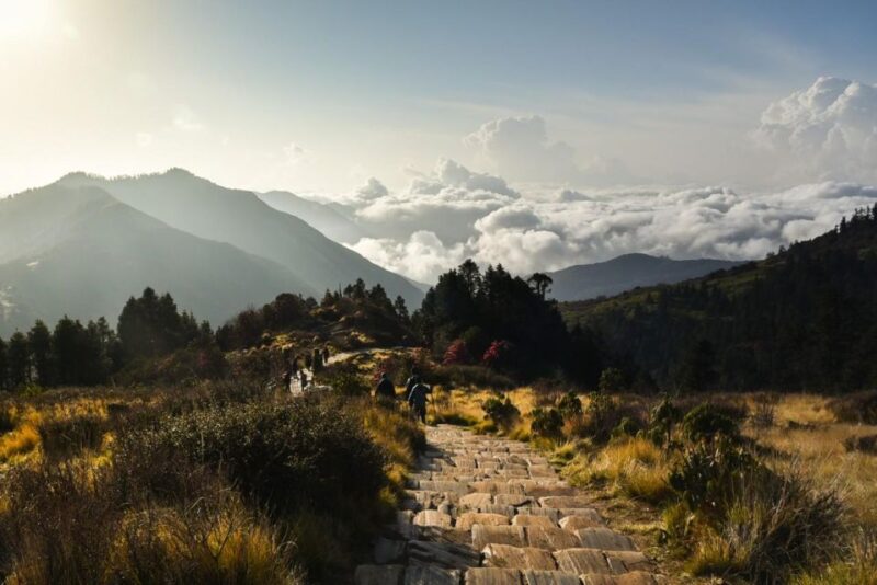 Ghorepani Poon Hill Trek - Detailed Trek Itinerary