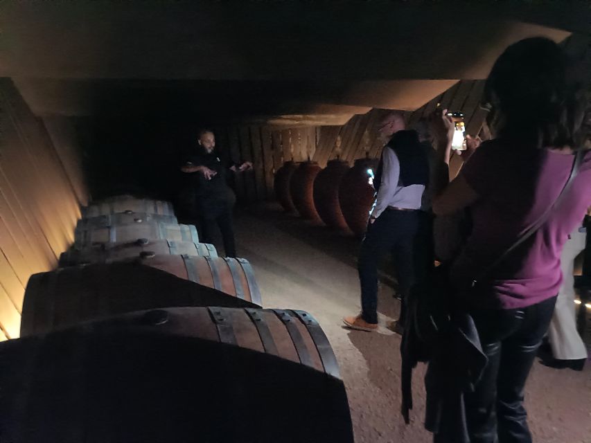 Girona: Local Wineries Tour With Breakfast and Wine Tasting - Key Points