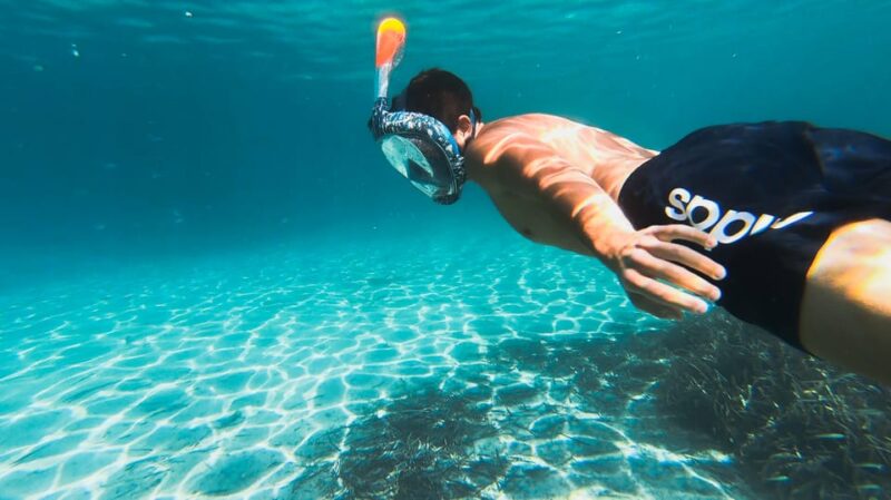 Golfo Aranci: Sunset Dolphin Kayak Tour With Aperitif - Key Points