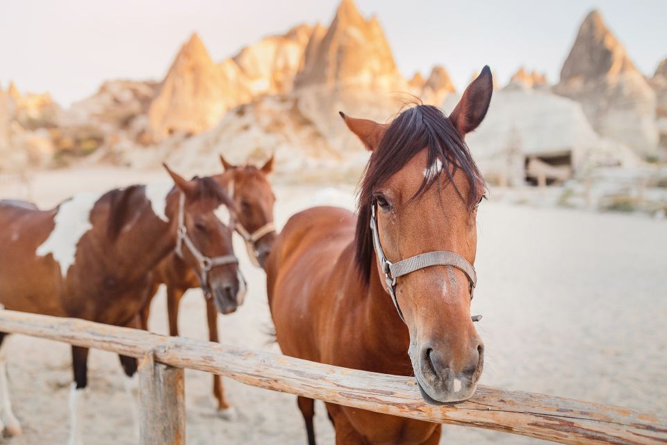 Göreme: Horseback Riding Experience in Cappadocia - Key Points