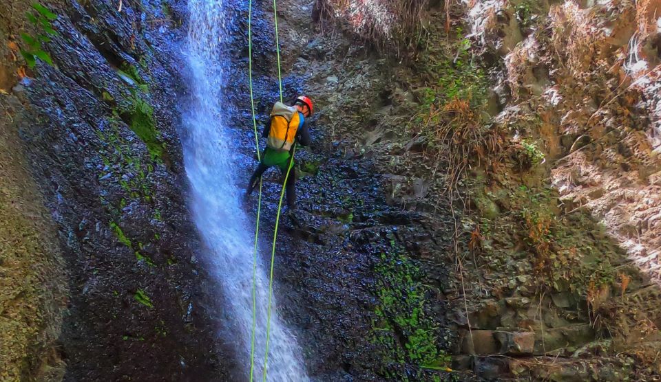 Gran Canaria: Canyoning Trip - Key Points