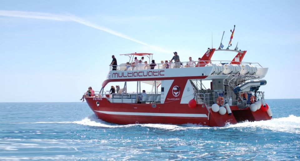 Gran Canaria: Dolphin and Whale Watching Cruise - Key Points