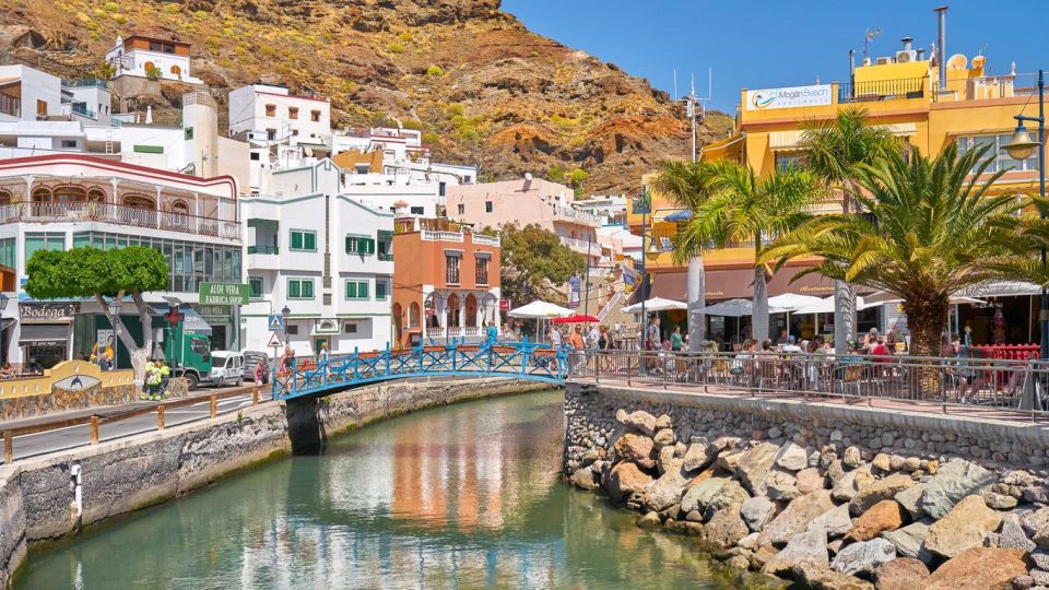 Gran Canaria : Dolphin Boat Excursion and Market on Fridays - Location and Duration