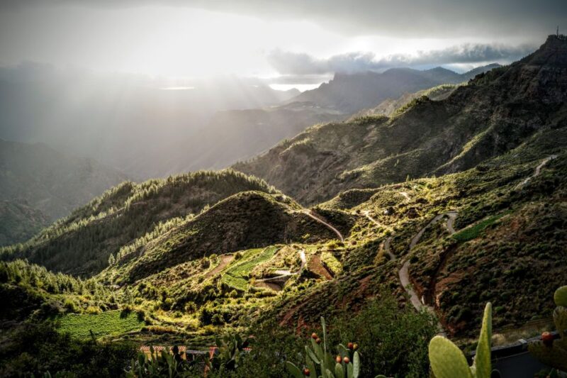 Gran Canaria: Highlights Tour, Hike in the Lauer Forest - Key Points