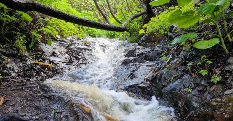 Gran Canaria: Magic Waterfalls Hiking Tour - Key Points