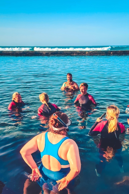 Gran Canaria: North Coast Tour - Salt, Rock Pools, Snorkel ツ - Key Points
