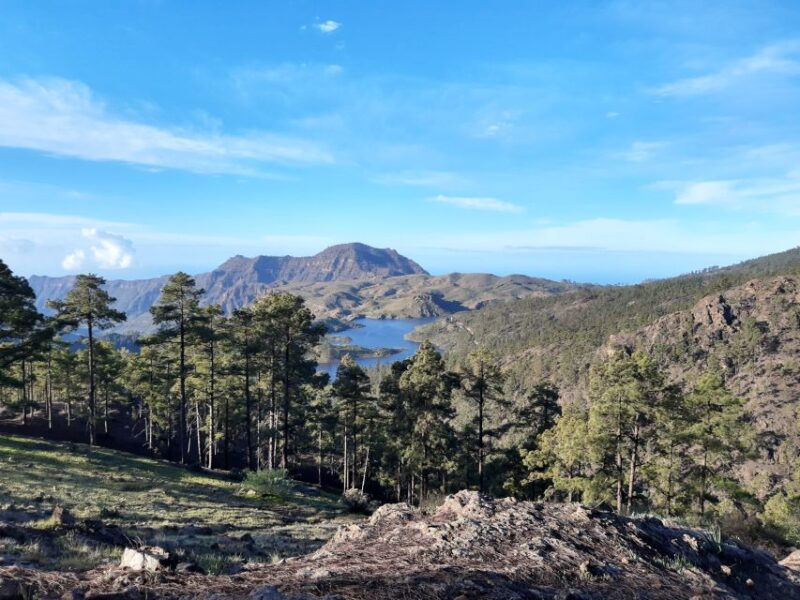 Gran Canaria: Peaks of Gran Canaria Hiking Tour - Key Points