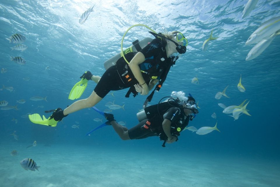 Gran Canaria: Scuba Diving for Beginners - Key Points