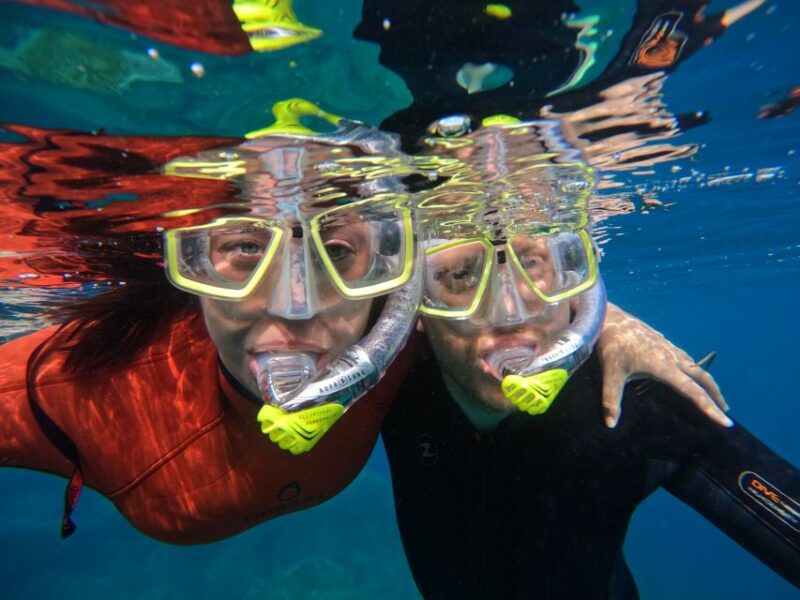 Gran Canaria: Snorkel Tour With Boat on the West Coast - Key Points