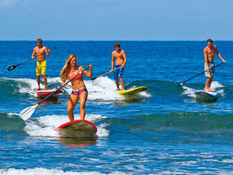 Gran Canaria: Stand-Up Paddle Lesson & Snorkeling Tour - Key Points