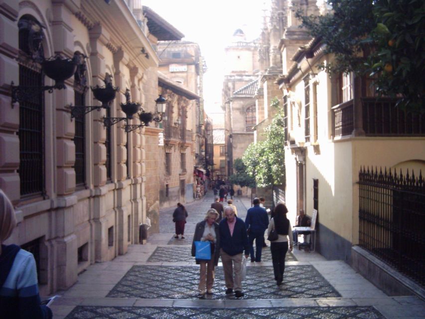 Granada (Albaicín) Private Guided Walking Tour - Key Points