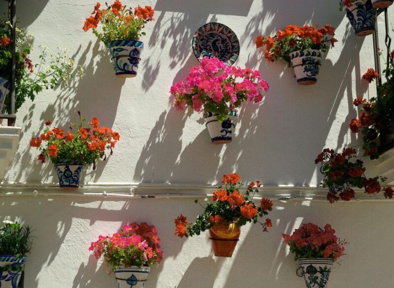 Granada: Albaicín, Sacromonte & Museum of Caves Walking Tour - Key Points