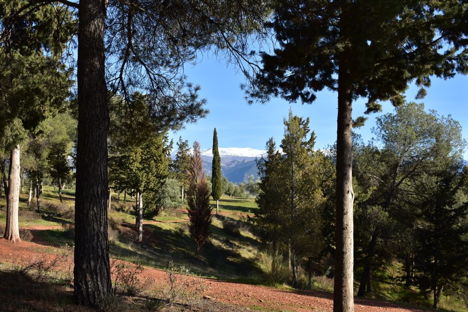 Granada: Alhambra Natural Park Hiking Tour - Key Points