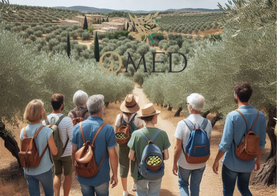 Granada in Evoo: Olive Grove Guided Tour and Sensory Tasting - Key Points