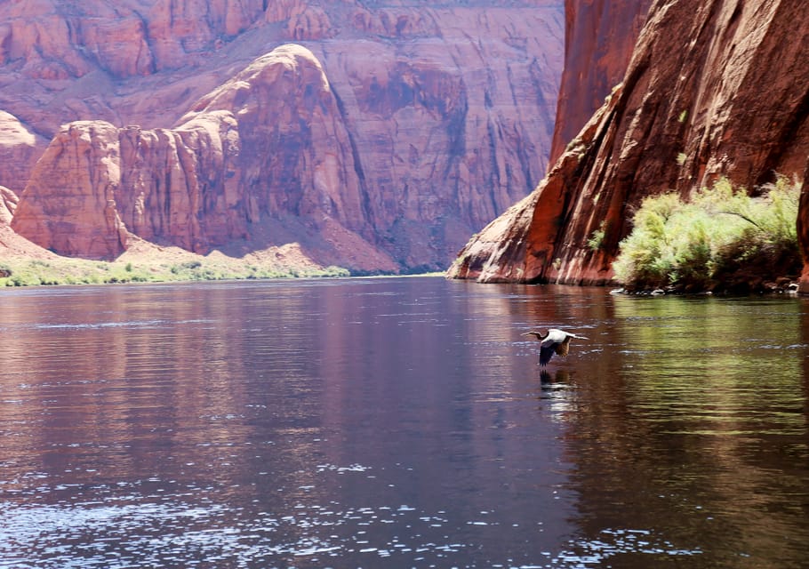 Grand Canyon: Glen Canyon and Horseshoe Bend Raft Trip - Key Points