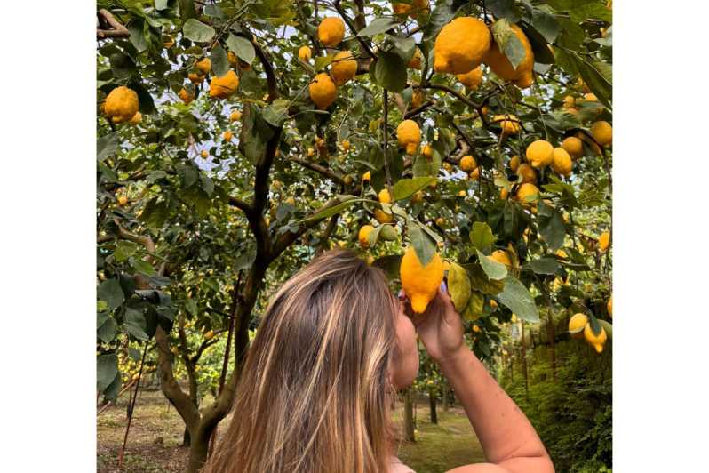 Grandpa Mario Lemon Tour - Key Points