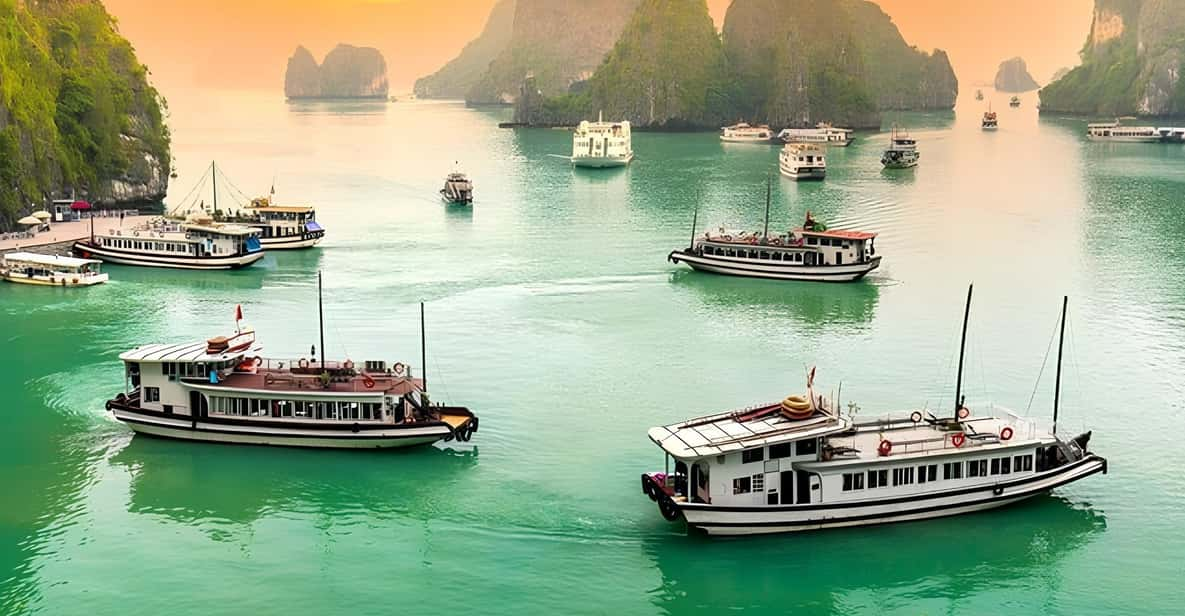 Great Experience With 5 Stars Cruise in Ha Long Bay - Key Points