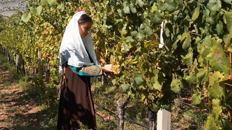 Great Winery Tour From Montenegro: 3 Countries in One Day - Good To Know