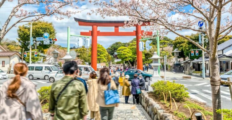 Greedy Gourmet and Temple Tour in Kamakura - Overview of the Tour