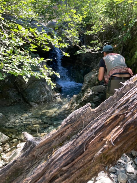 Grisons: Guided Alpine Fishing Tour (With or Without Hiking) - Good To Know