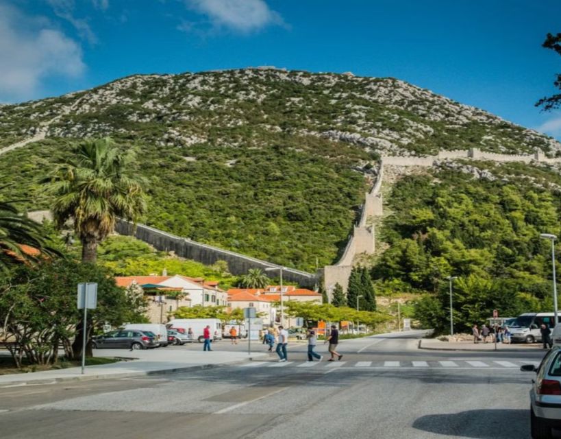 Group Tour From Dubrovnik: Ston and Peljesac Wineries Tour - Good To Know