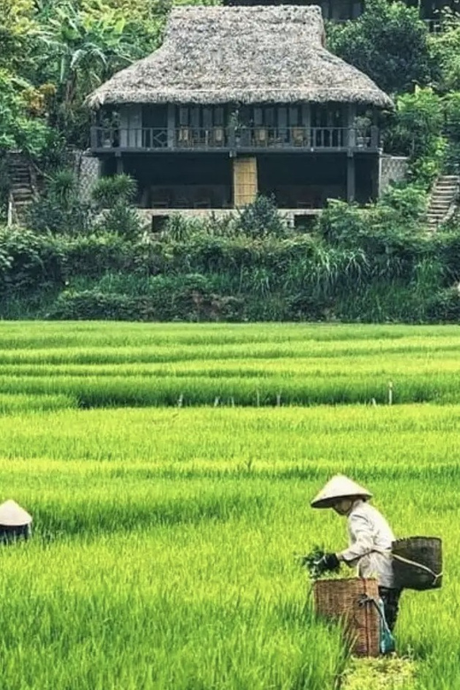 Group Tour: Mai Chau Full Day Trip From Hanoi - Key Points