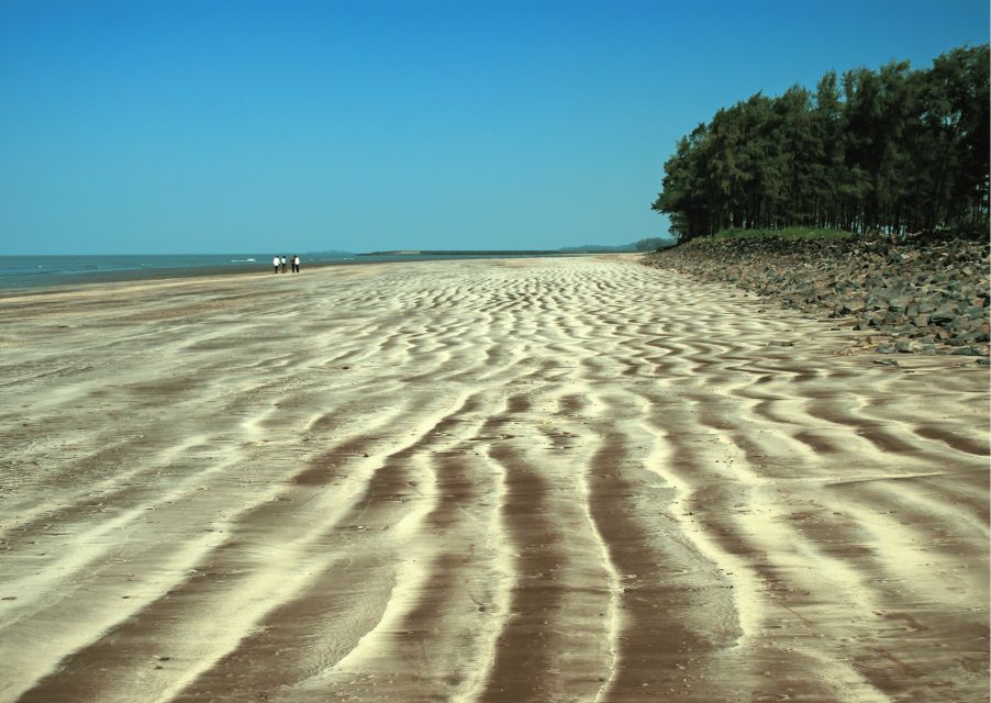 Guided Day Trip to Alibag-Kashid Beach From Mumbai - Trip Overview