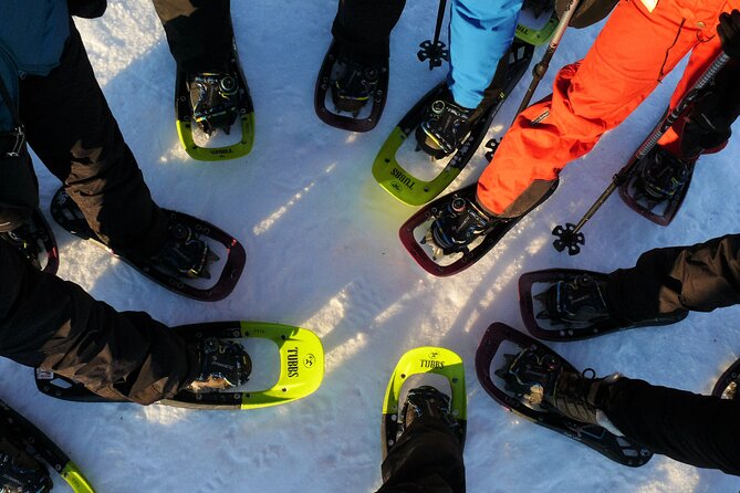 Guided Easy Snowshoeing With a Visit to Local Café - Good To Know