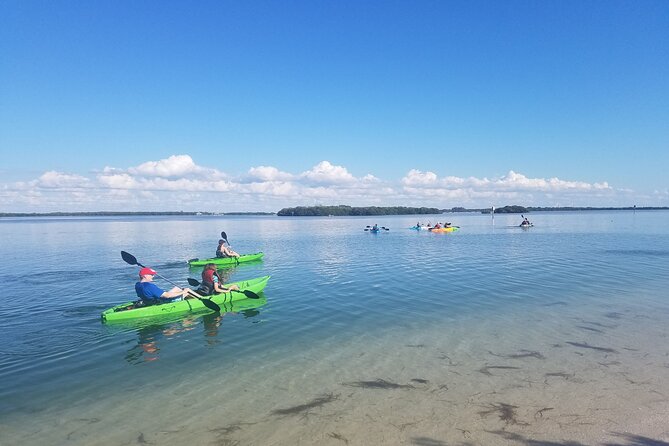 Guided Kayak EcoTour of Beautiful Shell Key Preserve - Key Points