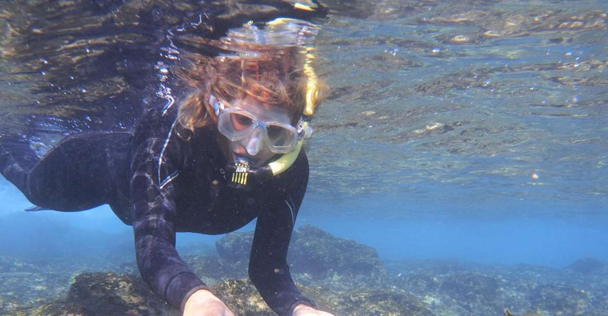 Guided Snorkeling Experience - Key Points