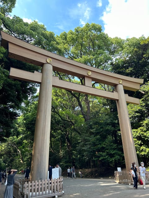 Guided Tour of Meiji Jingu in Harajuku and Chauffeur Service - Overview of the Tour