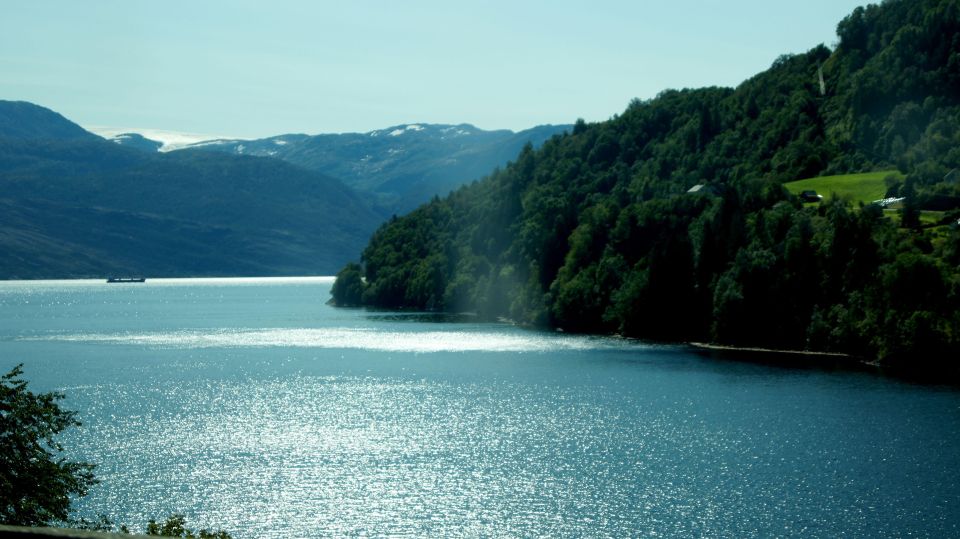 Guided Tour to Hardanger Fjord, Waterfalls, Ferry Crossing - Good To Know