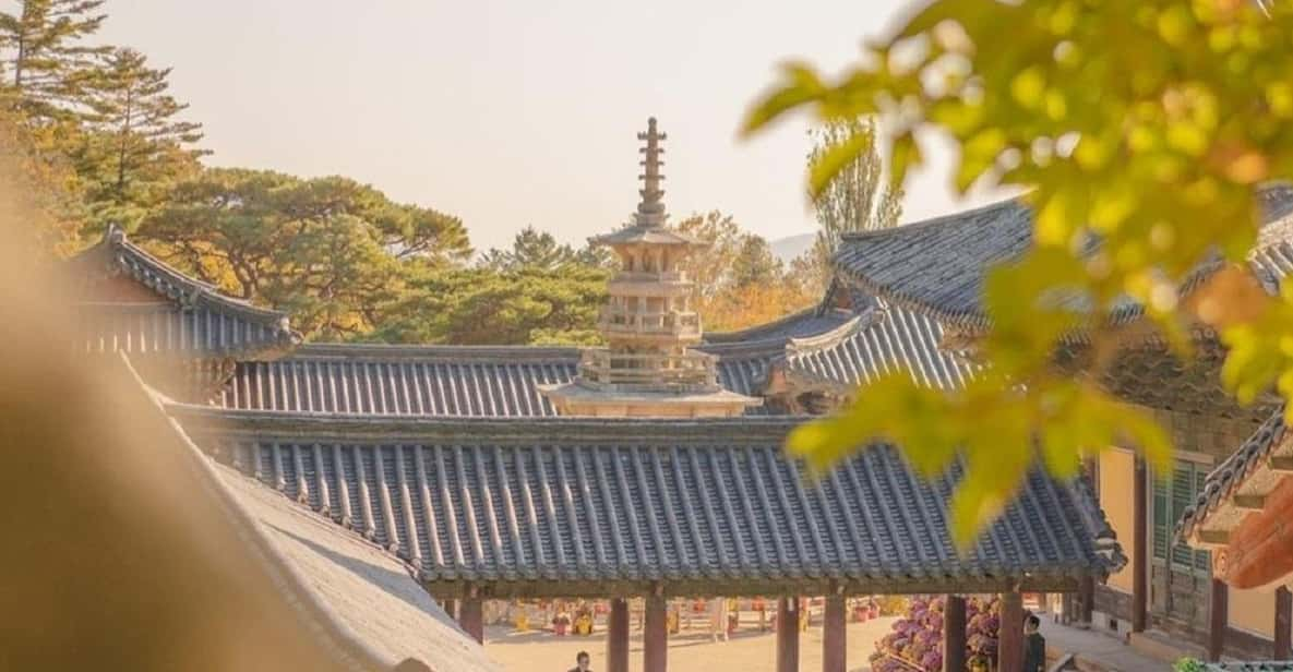 Gyeongju Private Car Tour With a Licensed Tour Guide - Key Points