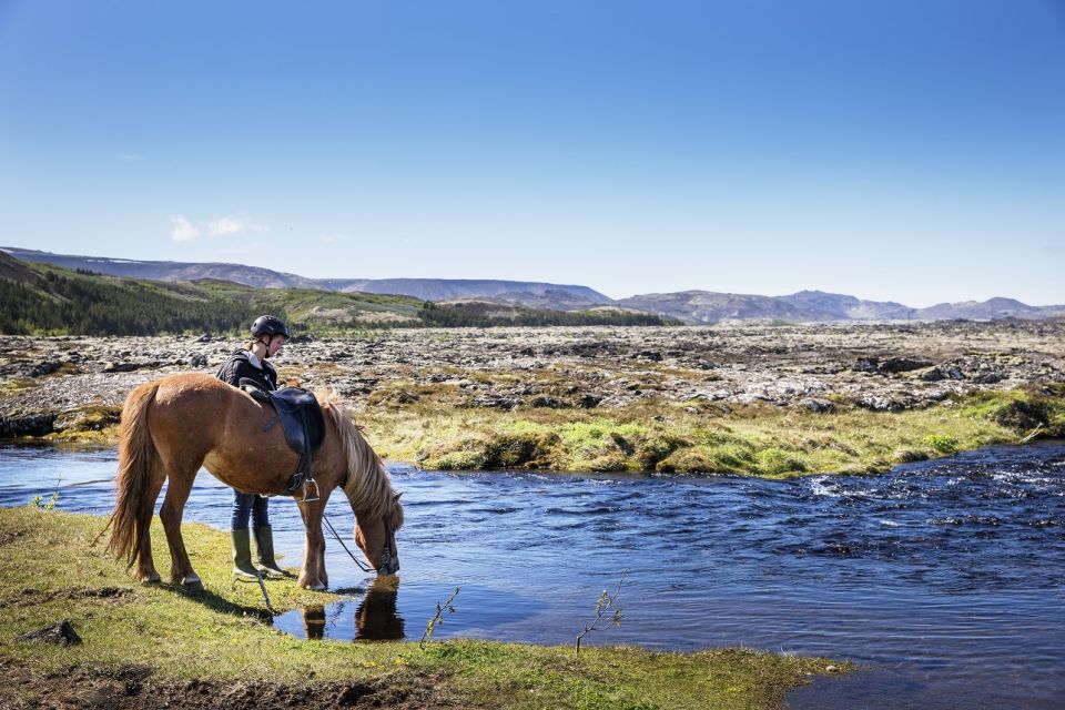 Hafnarfjörður: Horseback Riding Tour in Reykjavik Area - Key Points