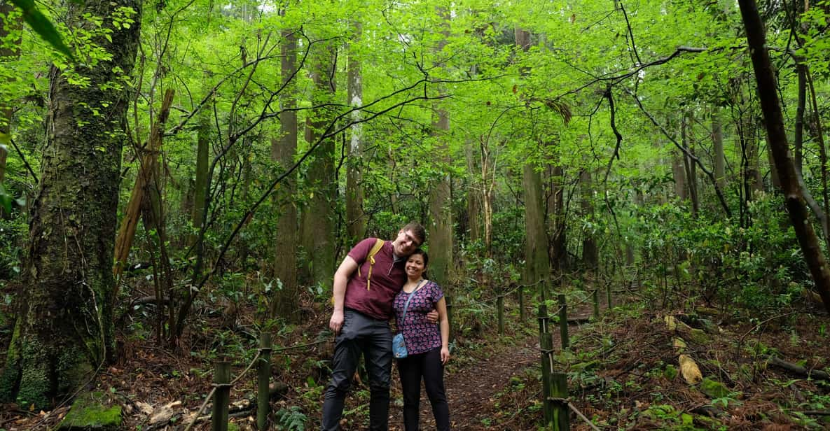 Hakone: Forest Bathing Hike With Lake Ashi and Mt. Fuji View - Tour Overview