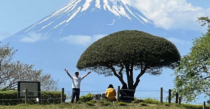 Hakone Hachiri: Old Tokaido Highway Hiking Tour - Historical Context and Significance