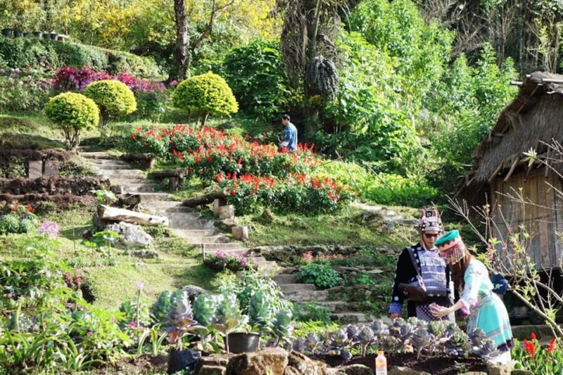 Half Day Chiang Mai City Tour - Key Points