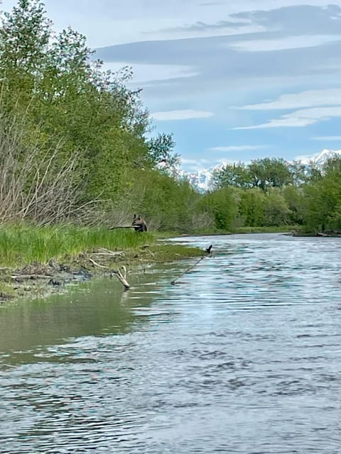 Half-Day Guided Paddle Tour on Knik River - Key Points