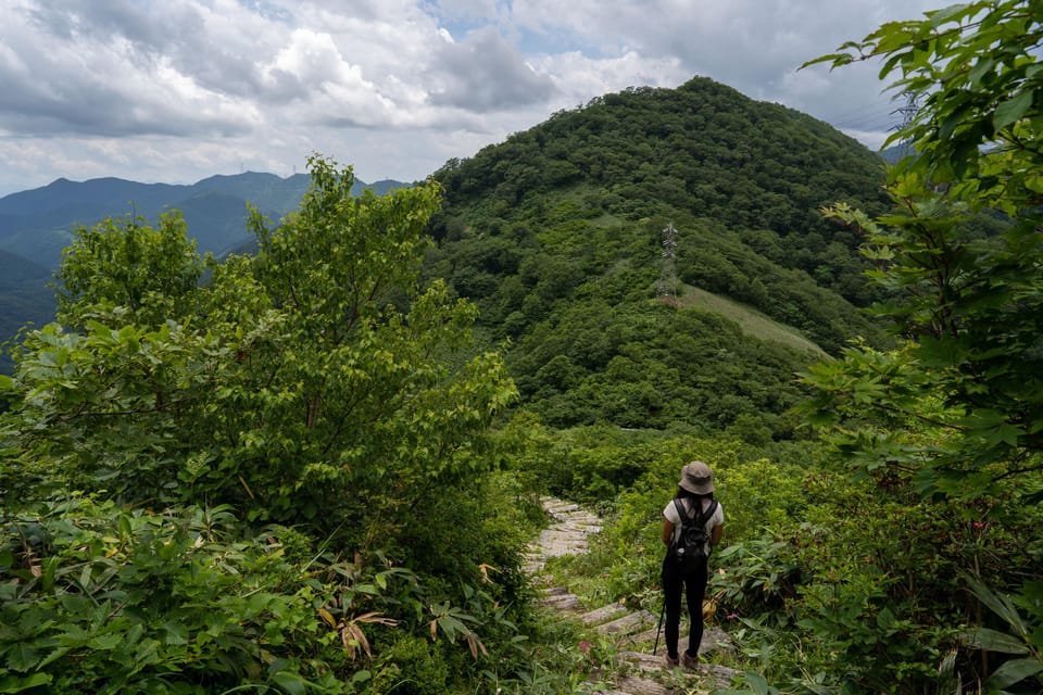 Half Day Hike To the Top of Old Mikuni-kaido Pass - Tour Overview